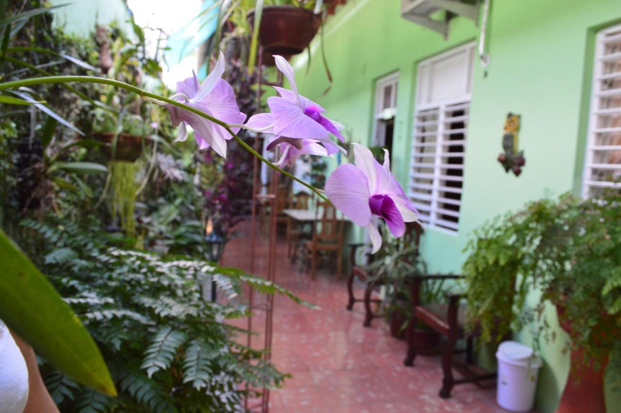 La Casa Verde Apartment San Miguel Exterior photo